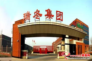 瑞冬集團(tuán)業(yè)務(wù)經(jīng)理交流會(huì) 網(wǎng)絡(luò)技術(shù)服務(wù)拳頭產(chǎn)品與研制能力展示